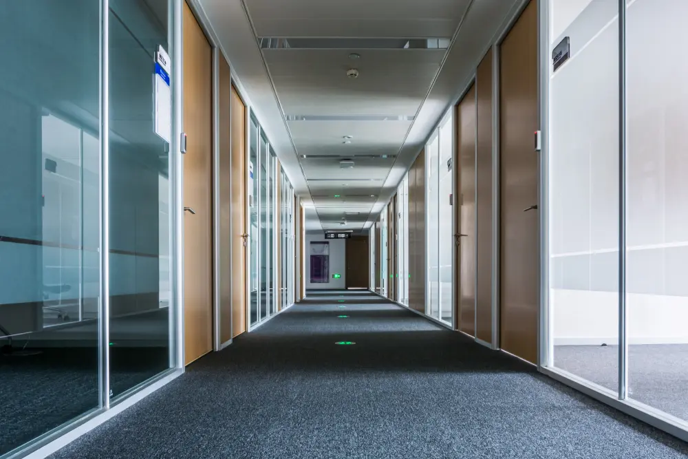 czysta wykładzina w biurze - po praniu